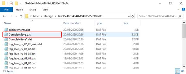 Inside the save folder
